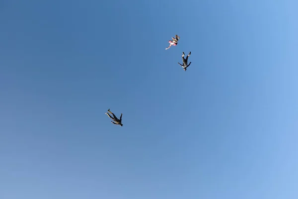 Mergulho Livre Céu Grupo Mergulhadores Voa Céu Salto Divertido — Fotografia de Stock