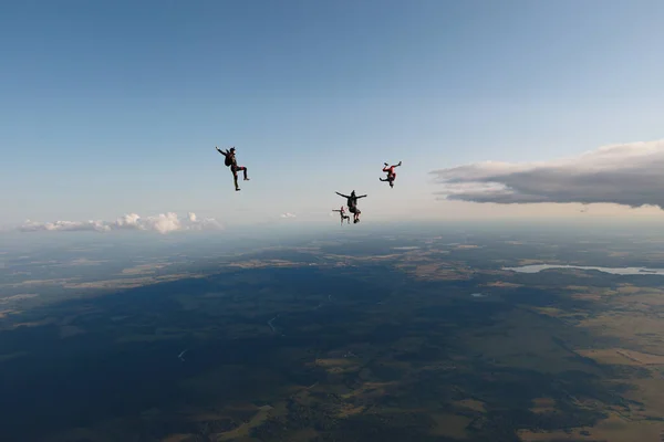 Paracadutismo Libero Gruppo Paracadutisti Sta Volando Nel Cielo Salto Divertente — Foto Stock