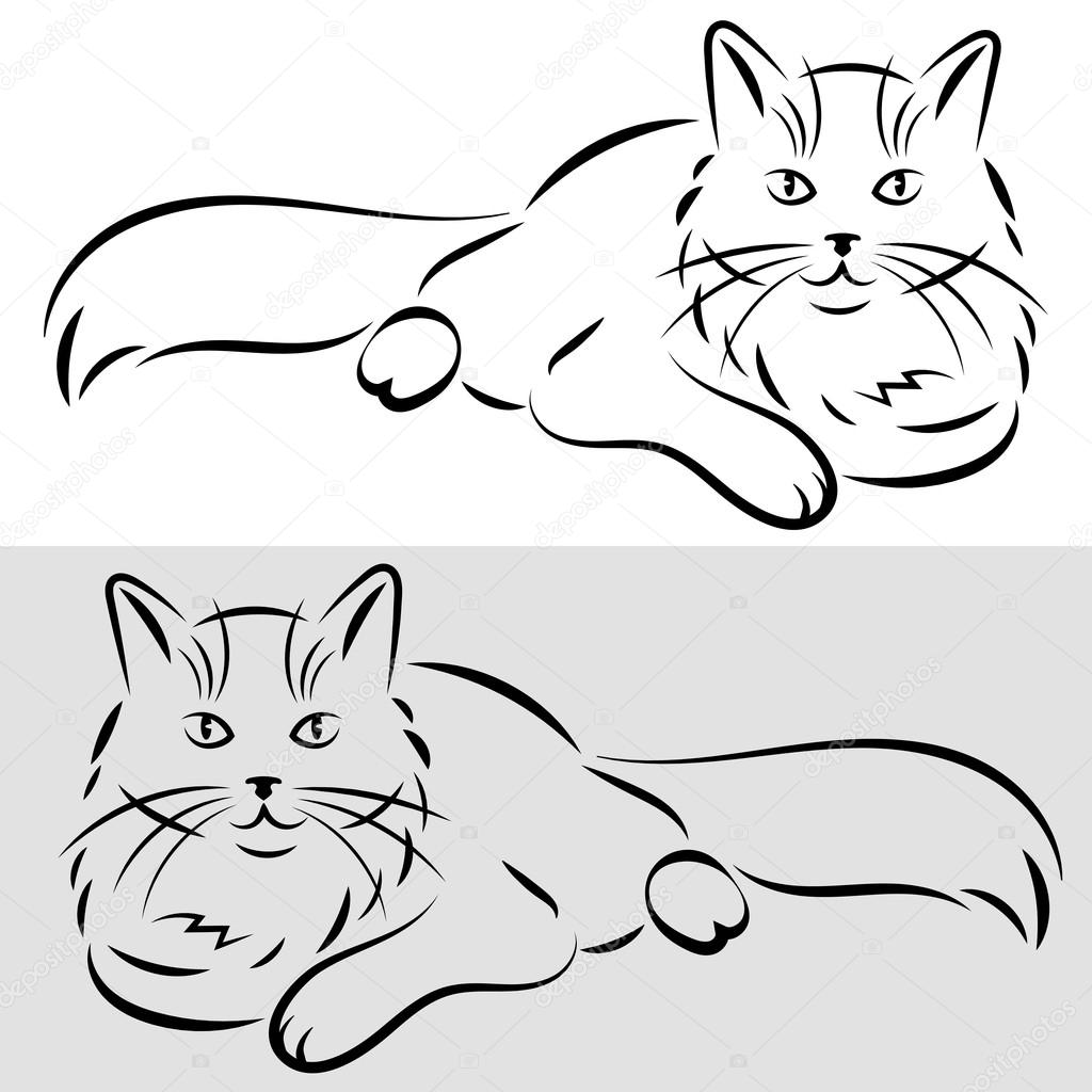 sketch of a cat