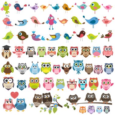 set of cartoon colorful birds and owls clipart