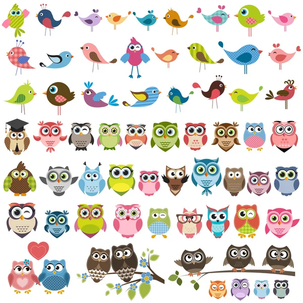 Conjunto de dibujos animados coloridas aves y búhos — Vector de stock