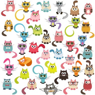 cats ve yavru kedi