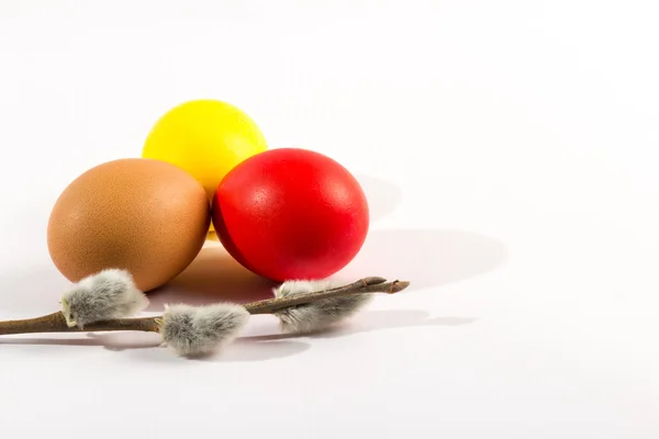 Huevos en blanco — Foto de Stock