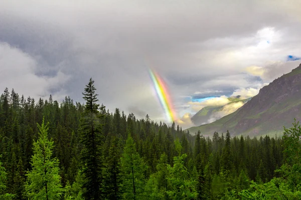 Regenbogen in den Bergen — Stockfoto