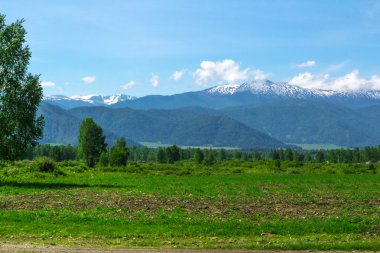 Yaz aylarında Altay dağ