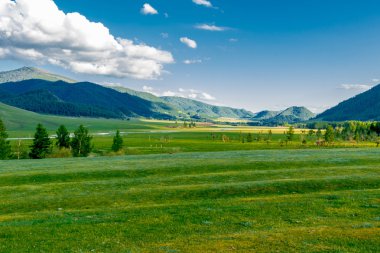 Yaz aylarında Altay dağ