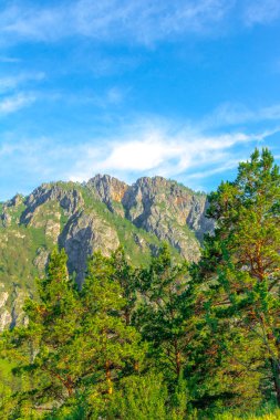 Yaz aylarında Altay dağ