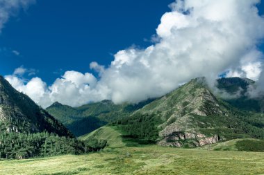 Yaz aylarında Altay dağ