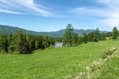 Yaz aylarında Altay dağ