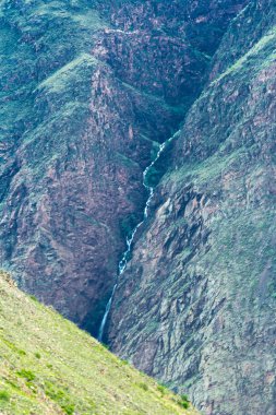 Yaz aylarında Altay dağ