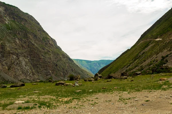 Montaña Altai en verano — Foto de Stock