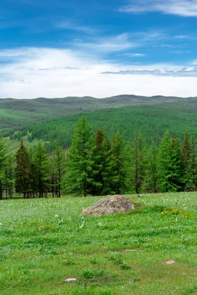 Montaña Altai en verano — Foto de Stock