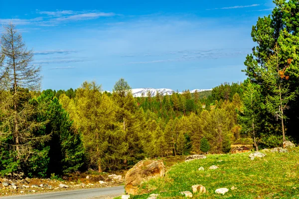 Montaña Altai en verano — Foto de Stock