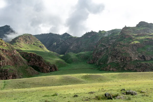 Montaña Altai en verano — Foto de Stock