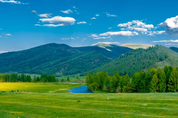 Montaña Altai en verano — Foto de Stock