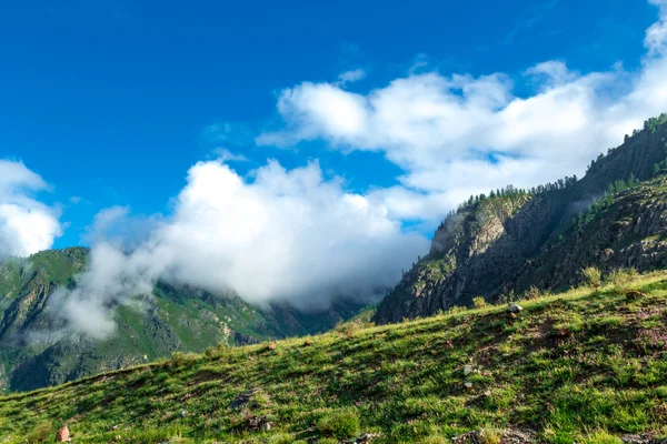 Montaña Altai en verano — Foto de Stock