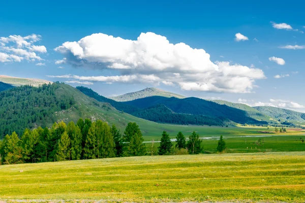 Montaña Altai en verano — Foto de Stock