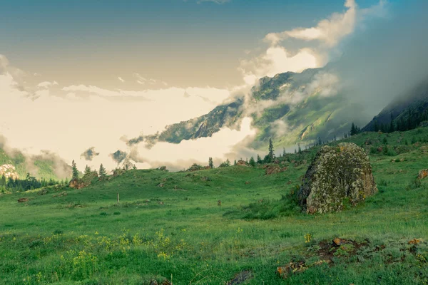알타이 산맥의 공화국 — 스톡 사진