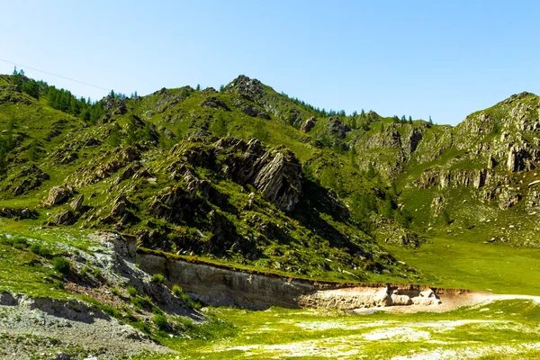 Yaz aylarında Altay dağ — Stok fotoğraf