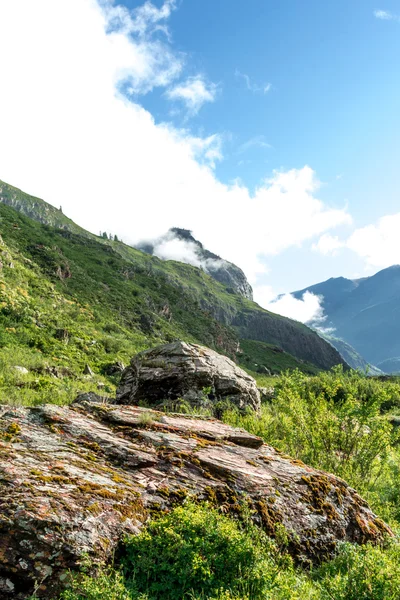 Montanha Altai no verão — Fotografia de Stock