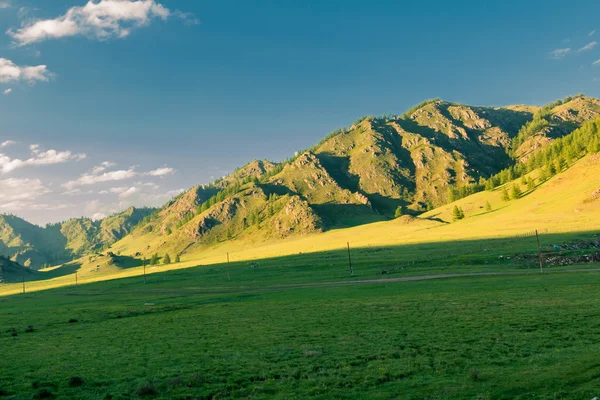 Montanha Altai no verão — Fotografia de Stock