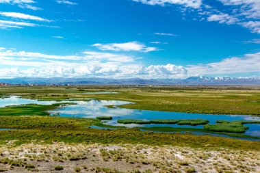 Yaz aylarında Altay dağ