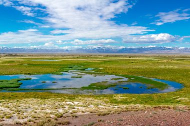 Yaz aylarında Altay dağ