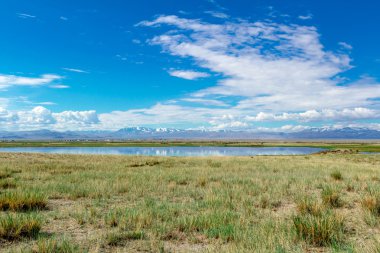 Yaz aylarında Altay dağ