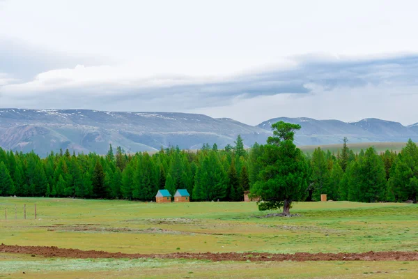 Montanha Altai no verão — Fotografia de Stock