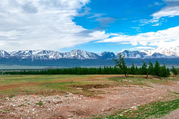 Altai berg i sommar — Stockfoto