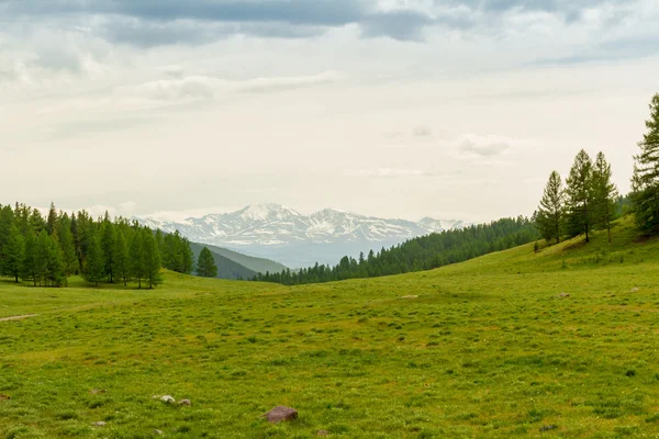 Montaña Altai en verano — Foto de Stock