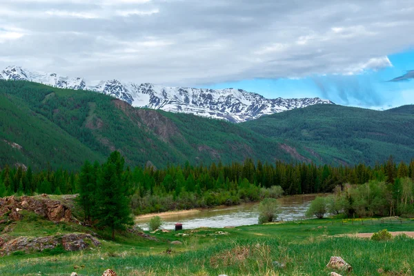 Montaña Altai en verano — Foto de Stock