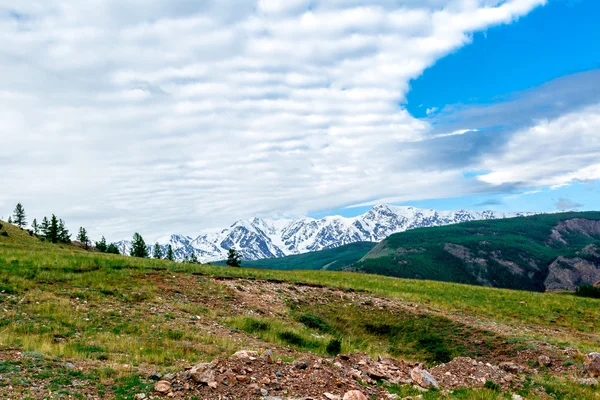 Montaña Altai en verano — Foto de Stock