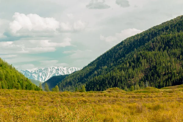 Montaña Altai en verano —  Fotos de Stock