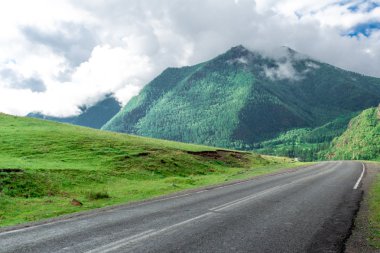 Asfalt dağ yolu
