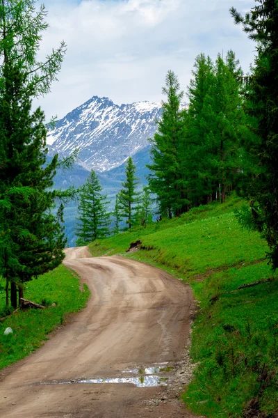 République des montagnes de l'Altaï — Photo