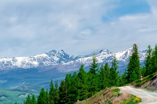 Altay Dağları'nın Cumhuriyeti — Stok fotoğraf