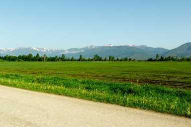 Altay Dağları'nın Cumhuriyeti
