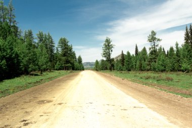 Altay Dağları'nın Cumhuriyeti