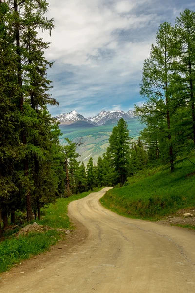 République des montagnes de l'Altaï — Photo