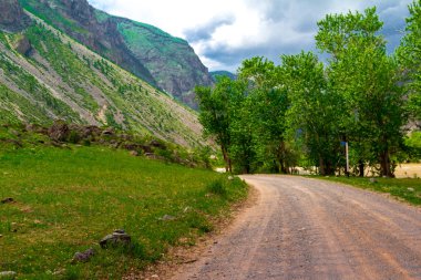 Altay Dağları'nın Cumhuriyeti