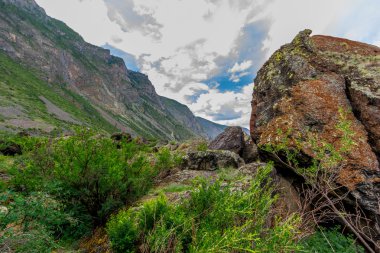 Altay Dağları
