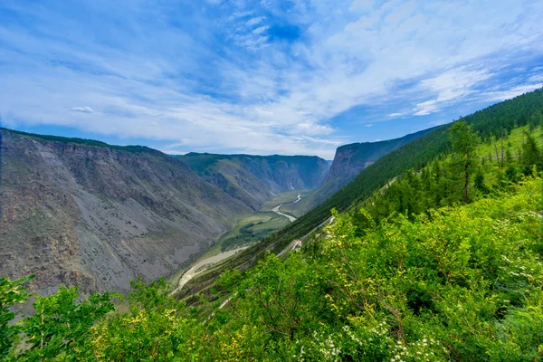 En las montañas de Altai — Foto de Stock