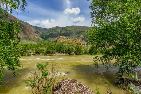 Río de montaña Altai — Foto de Stock