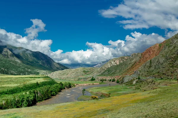 Río de montaña Altai — Foto de Stock
