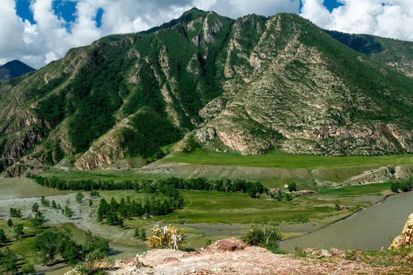 Río de montaña Altai — Foto de Stock