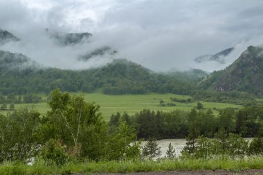 Altay dağ nehir