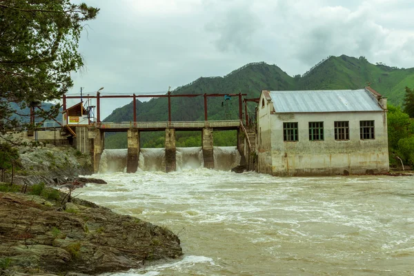 Altaj berg rivier — Stockfoto