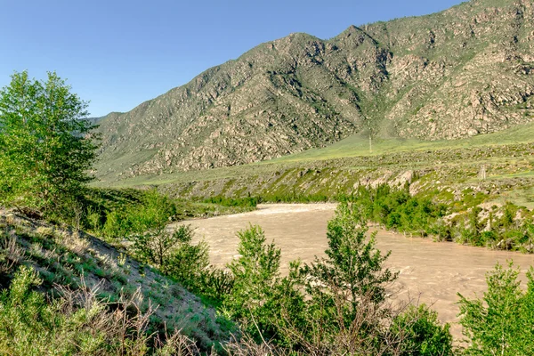 Rio de montanha de altai — Fotografia de Stock