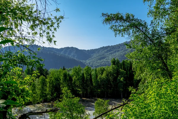 En un valle de montaña — Foto de Stock